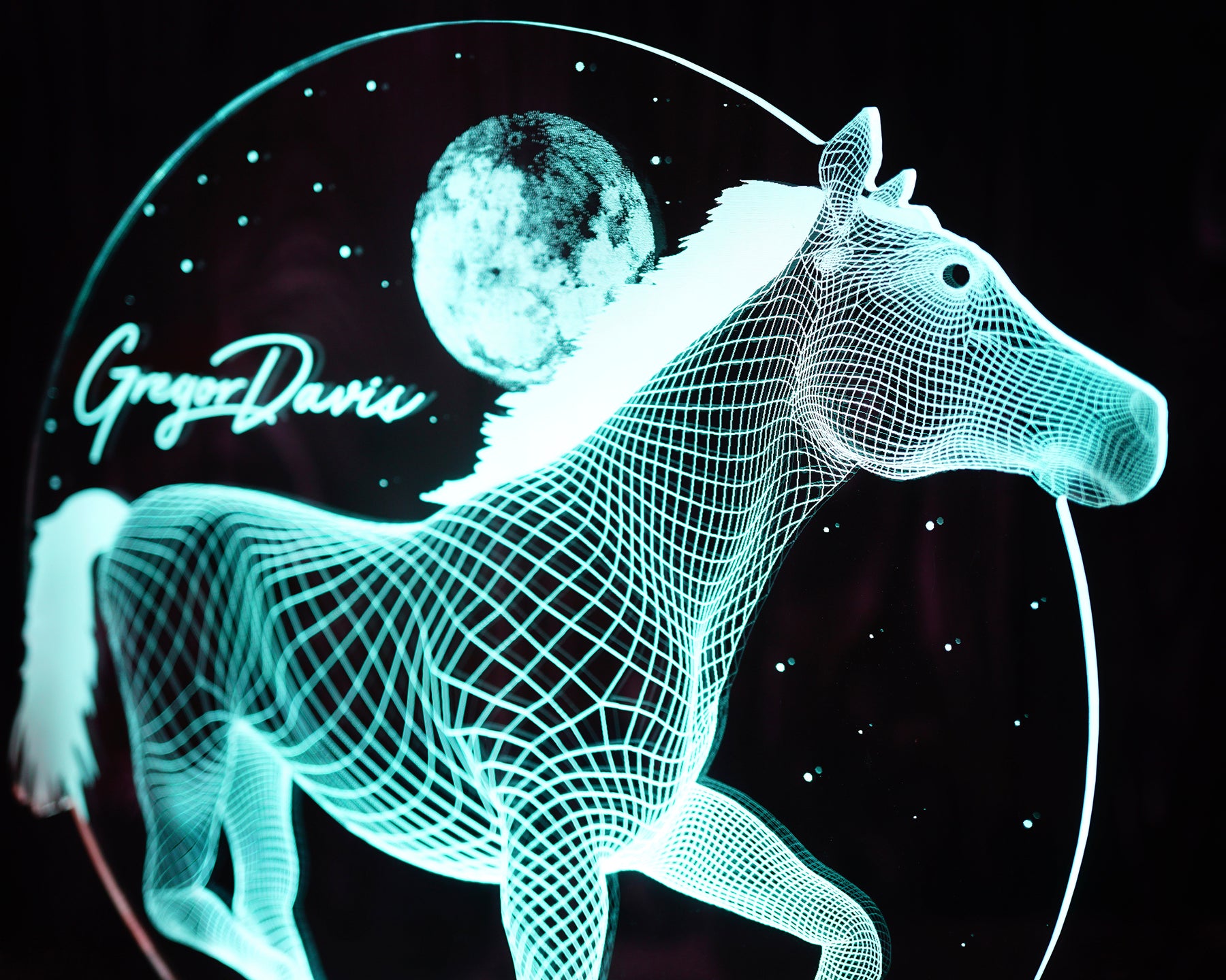 3D Pferd LED Lampe Geschenk für Pferdeliebhaber Reitergeschenke
