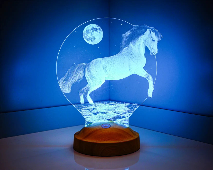 Pferd LED Lampe Geschenk für Pferdeliebhaber Reitergeschenke