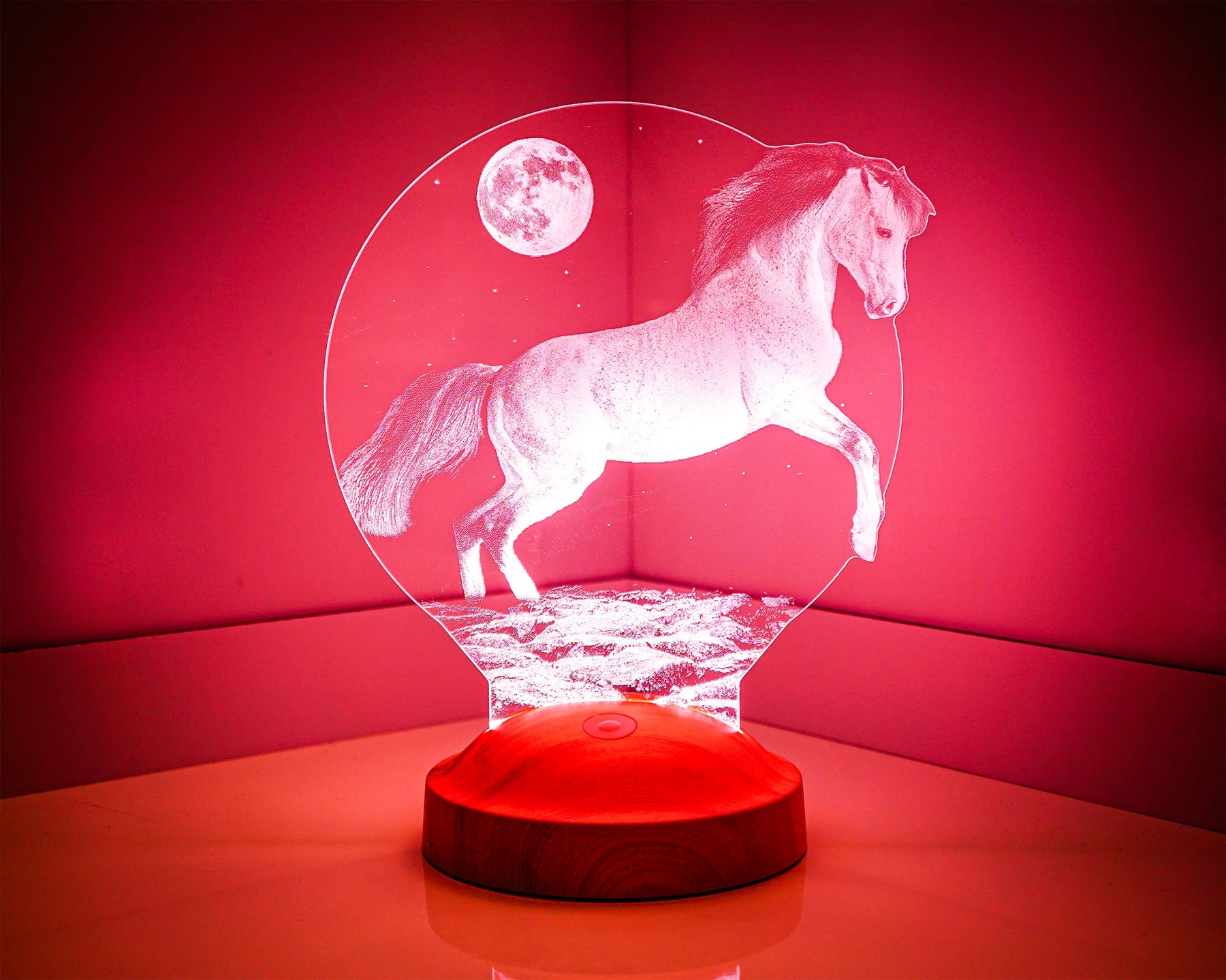Pferd LED Lampe Geschenk für Pferdeliebhaber Reitergeschenke