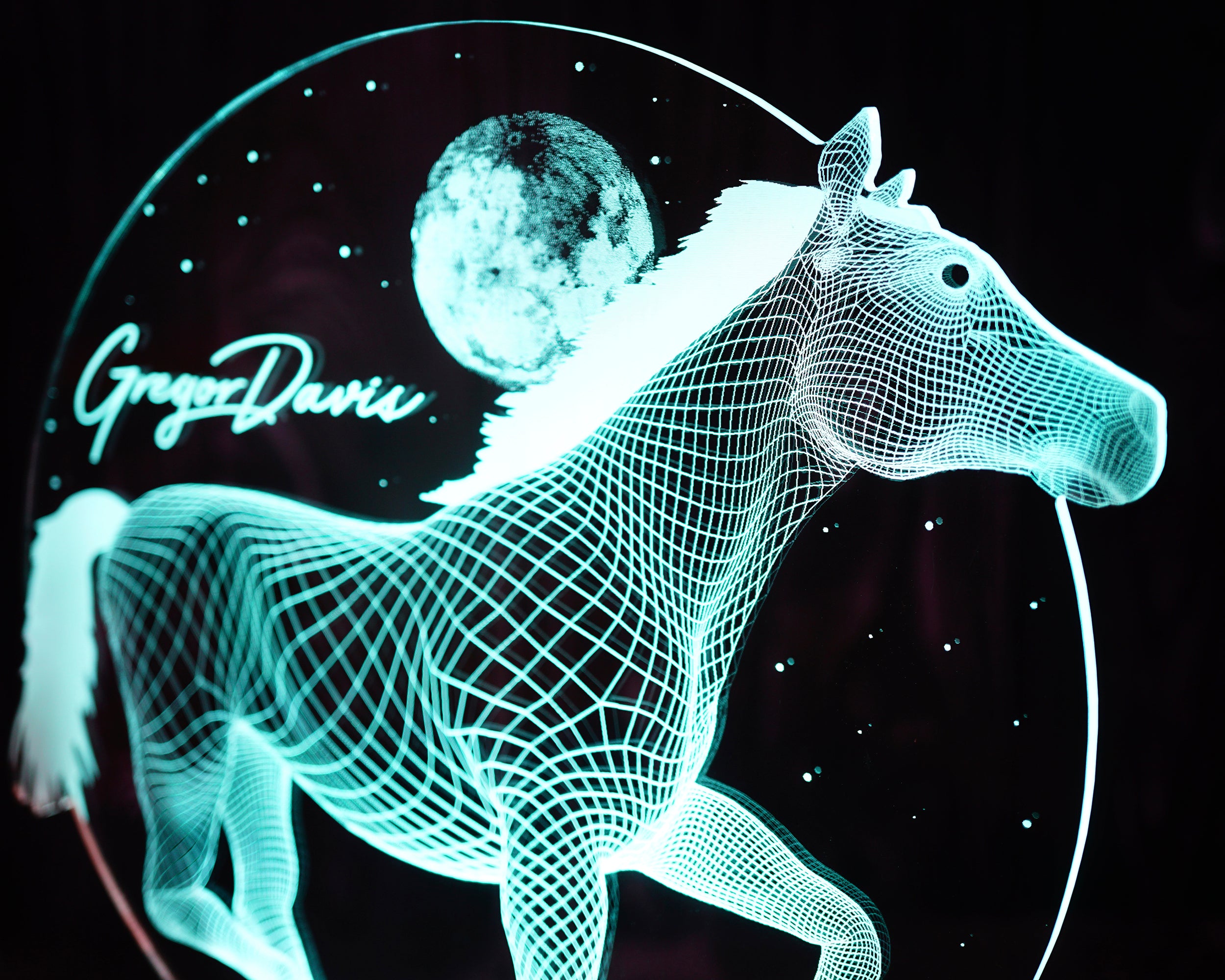 3D Pferd LED Lampe Geschenk für Pferdeliebhaber Pferdemädchen Pferdebesitzer Reitergeschenke