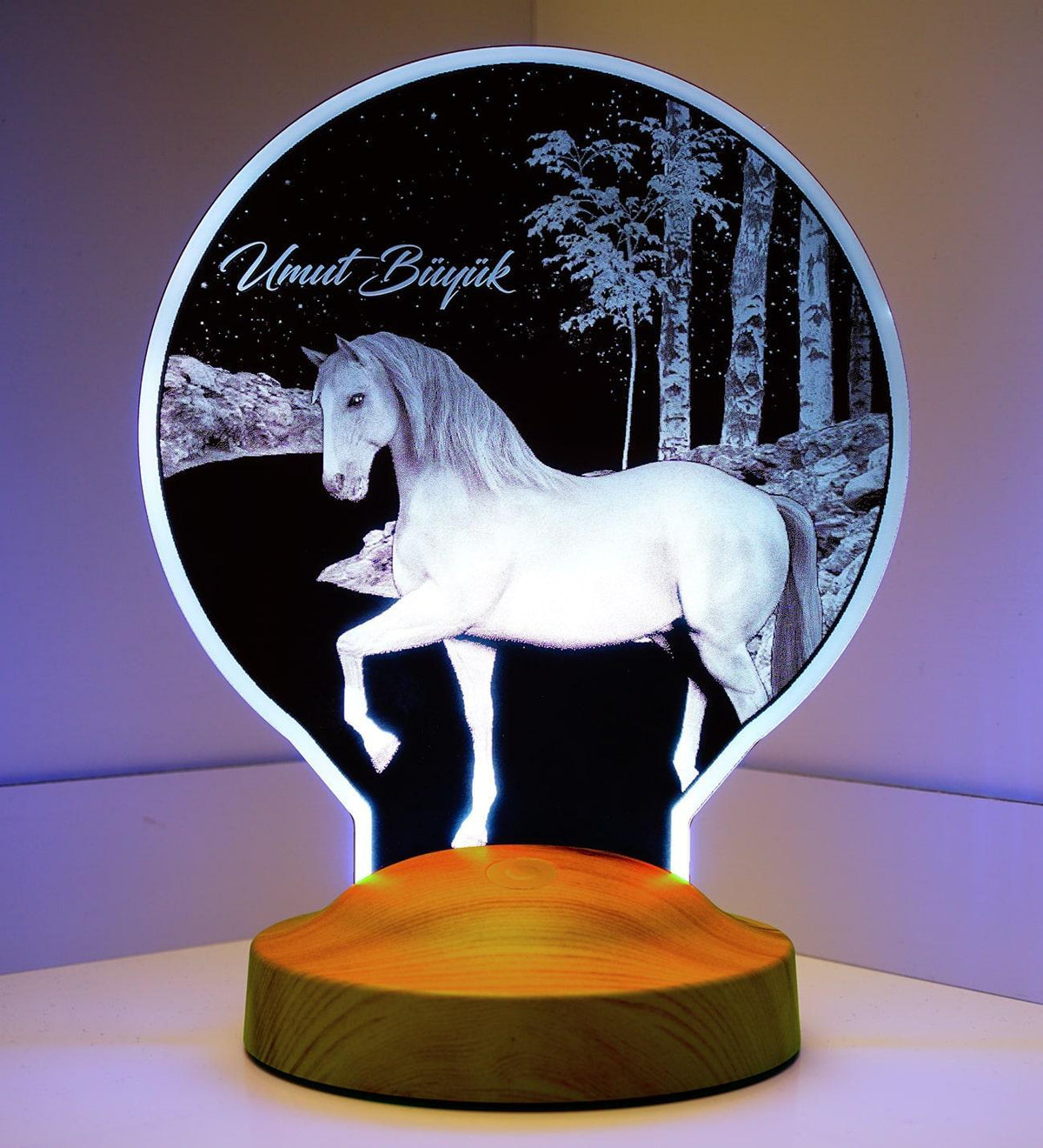 Pferd Personalisierte Geschenke Lampe mit Wunschtext